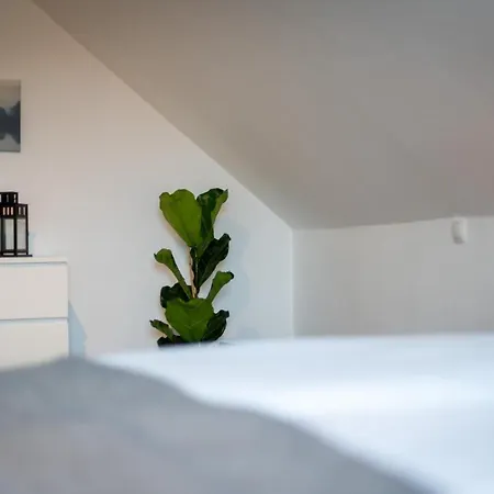 Cassel Lofts - Komfortable Fuer 4 - Nahe Sma & Fulda Lägenhet *