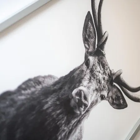 Cassel Lofts - Komfortable Fuer 4 - Nahe Sma & Fulda Lägenhet *