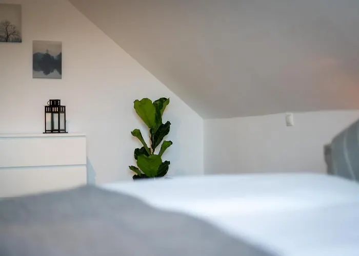 Cassel Lofts - Komfortable Fuer 4 - Nahe Sma & Fulda דירה *