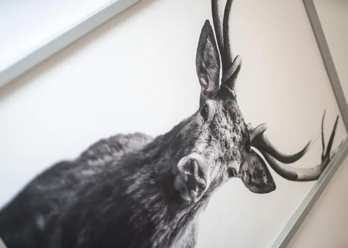 Cassel Lofts - Komfortable Fuer 4 - Nahe Sma & Fulda דירה *